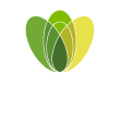 Logo Ortopedia Novarese
